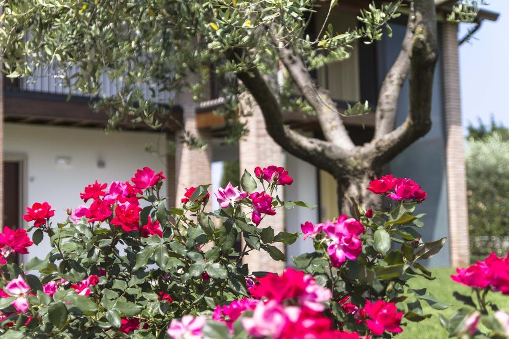 Hotel Relais Agli Olivi Lazise Buitenkant foto